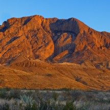 Alpenglow on Ward Mountain